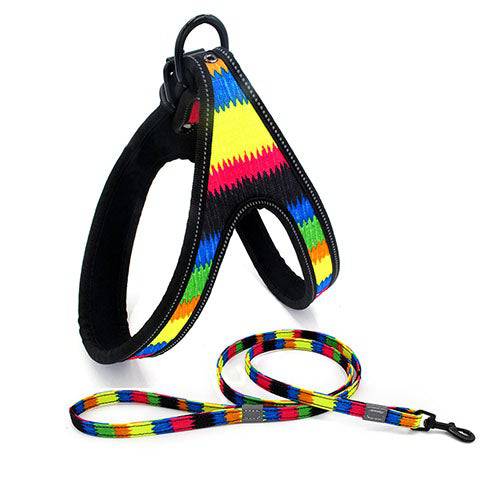 Adjustable Harness & Leash - Mirapets